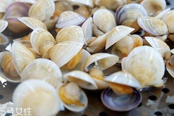 文蛤是淡水還是海水？文蛤是淡水水產(chǎn)嗎？
