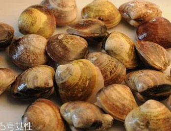 文蛤是冷水煮還是熱水？文蛤是用熱水嗎？