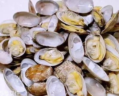 文蛤能做湯嗎？文蛤怎么做湯？
