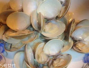 文蛤能給孕婦吃嗎？孕婦能不能吃文蛤？