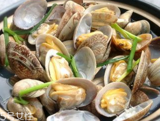 文蛤的養(yǎng)殖 文蛤怎么養(yǎng)？
