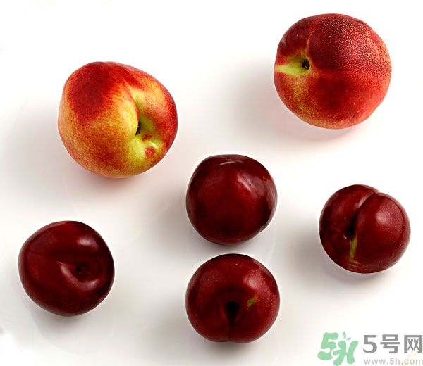 李子和灰子的區(qū)別？灰子的功效與作用