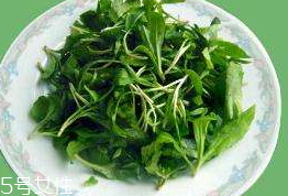 馬蘭頭對人的好處？馬蘭頭有什么好處？