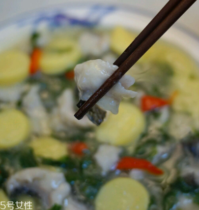 馬蘭頭可以煮魚湯嗎？馬蘭頭怎么煮魚湯