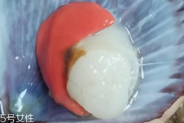 扇貝肉哪里不能吃？扇貝的月牙紅可以吃嗎？