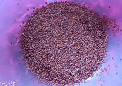 海藻面膜的功效與作用 用海藻面膜有什么好處？