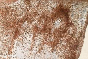 海藻面膜會(huì)發(fā)芽嗎？真的海藻面膜會(huì)發(fā)芽嗎？