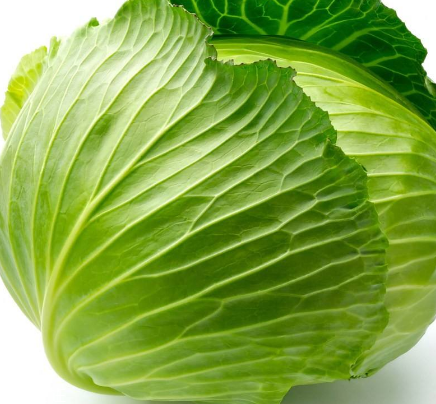 牛心菜能多吃嗎？牛心菜吃多了會怎樣？