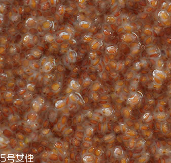 海藻面膜能加蜂蜜嗎？蜂蜜和海藻做面膜好嗎？