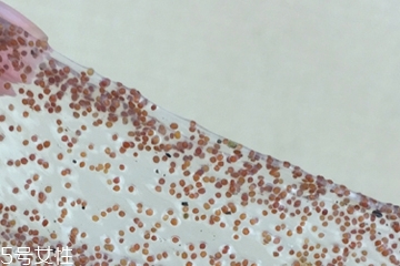 海藻面膜可以加維生素e嗎？海藻加維生素e可以用嗎？