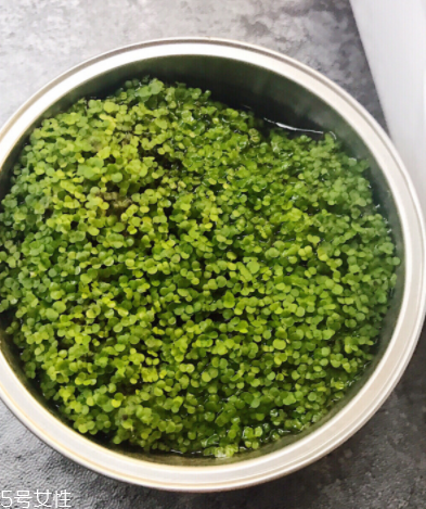 海藻面膜為什么會出膠？海藻面膜的膠是什么？