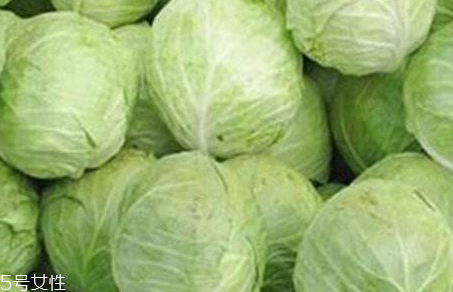 牛心菜是寒性還是熱性？牛心菜是寒性的嗎？