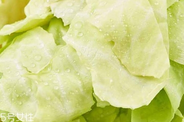 牛心菜是寒性還是熱性？牛心菜是寒性的嗎？