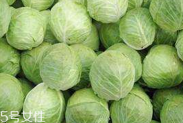 牛心菜和紫甘藍(lán)的區(qū)別 牛心菜和紫甘藍(lán)怎么分辨？