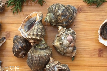 海螺會中毒嗎？吃海螺中毒多久會緩解？