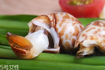 海螺能和西瓜一起吃嗎？海螺和西瓜能同食嗎？