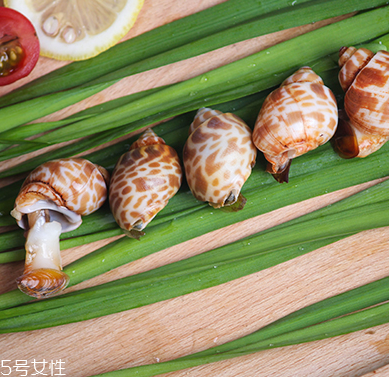 海螺能和西瓜一起吃嗎？海螺和西瓜能同食嗎？