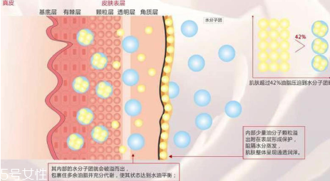 頑固痘痘怎么消除？油皮為什么反復(fù)爆痘？