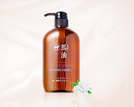 馬油洗發(fā)水是哪里產(chǎn)的？馬油洗發(fā)水是哪國的？