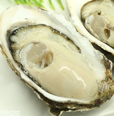 生蠔是蒸還是煮？生蠔蒸好吃還是煮好吃？