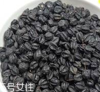 刺五加怎么吃？刺五加有什么用？