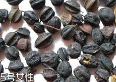 刺五加怎么吃？刺五加有什么用？