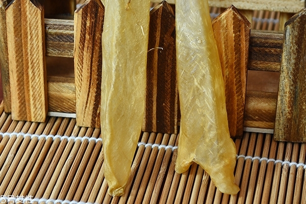 花膠為什么會有小蟲 這個是正?，F(xiàn)象