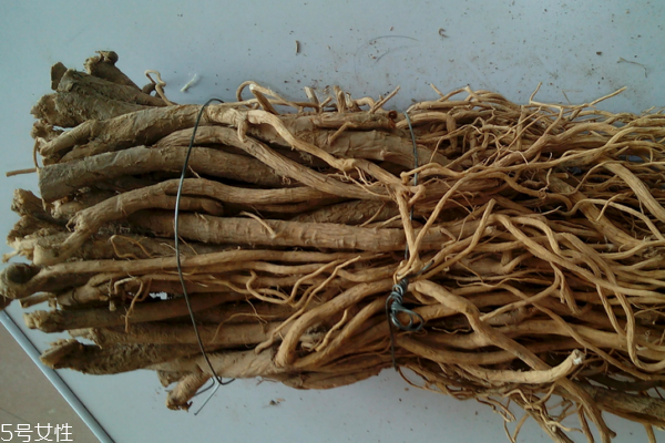 黃芪為什么會生蟲 這個是正?，F(xiàn)象