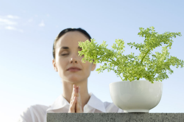 下腹痛、白帶變多，可能是骨盆腔炎
