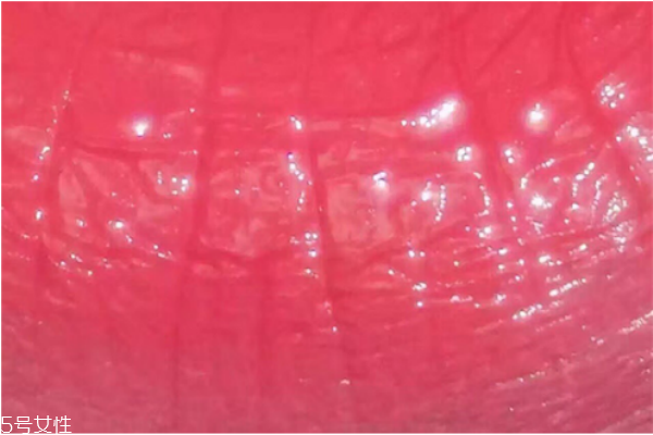 紀(jì)梵希口紅301是什么顏色 紀(jì)梵?？诩t301試色
