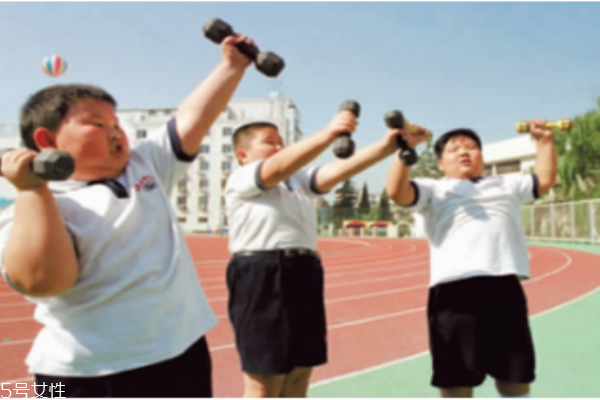 應該注意小孩脂肪和膽固醇的攝取量嗎？