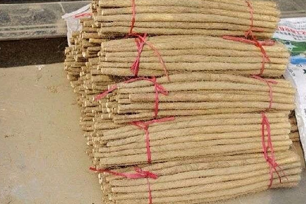 麻山藥長芽還能吃嗎？麻山藥和鐵棍山藥的區(qū)別