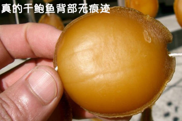 干鮑魚(yú)背部有劃痕正常嗎 假鮑魚(yú)無(wú)疑
