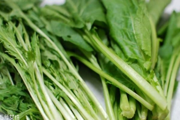 什么是千寶菜呢 千寶菜有什么營養(yǎng)價(jià)值呢