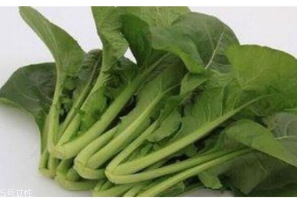 什么是千寶菜呢 千寶菜有什么營養(yǎng)價(jià)值呢