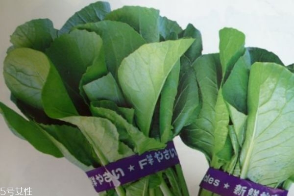 什么是千寶菜呢 千寶菜有什么營養(yǎng)價(jià)值呢