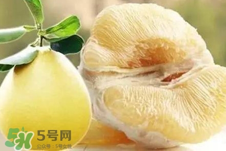 蜜柚是哪個(gè)季節(jié)的水果？蜜柚和沙田柚的區(qū)別是什么？