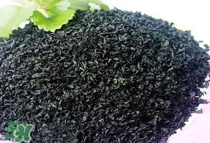 怎么辨別螺旋藻的真假？買螺旋藻怎么挑？