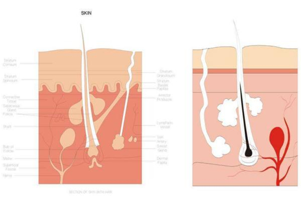 糾結(jié)身體乳哪個(gè)牌子好？從功效下手才穩(wěn)