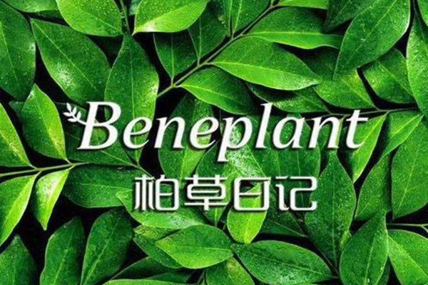 柏草日記怎么樣 柏草日記屬于幾線(xiàn)品牌