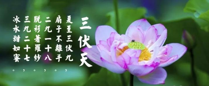 三伏天是什么？三伏天應(yīng)注意什么？