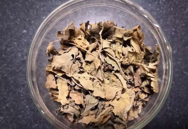 喝桑葉茶能減肥嗎?有什么副作用？