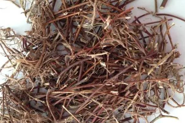 雞骨草對(duì)膽囊炎有效果嗎 雞骨草可以長期泡水喝嗎