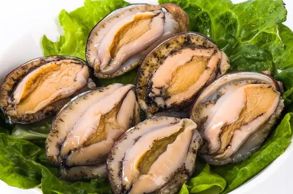 鮑魚(yú)屬于甲殼動(dòng)物還是軟體動(dòng)物 鮑魚(yú)煮多久才可以吃