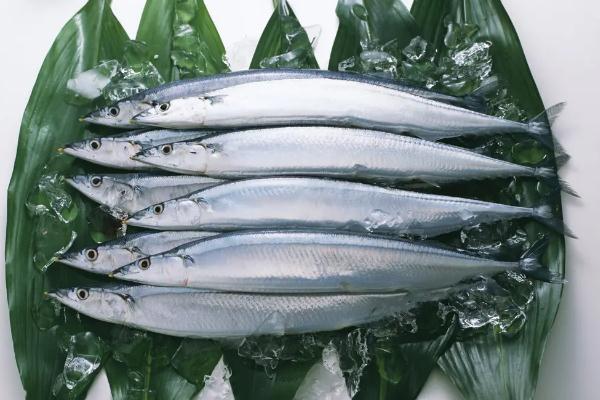秋刀魚是進(jìn)口的還是國(guó)產(chǎn)的 秋刀魚是寒性還是熱性