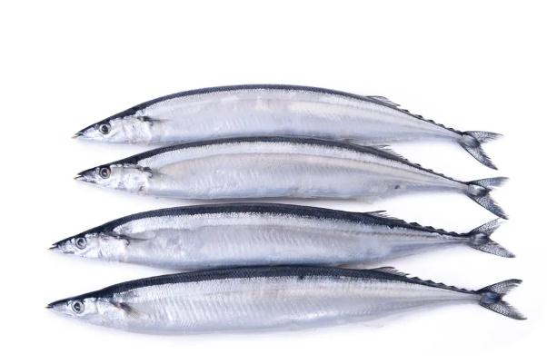 秋刀魚是進(jìn)口的還是國(guó)產(chǎn)的 秋刀魚是寒性還是熱性