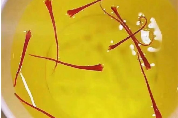 藏紅花多少錢(qián)一斤才算正宗 藏紅花怎么什么牌子最好
